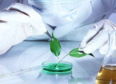 OEM รับผลิต ผลิตภัณฑ์ รับขึ้นทะเบียน