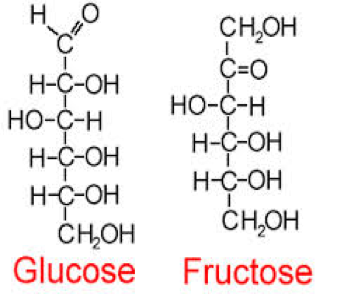 กระบวนการทำงานของ Probiotics