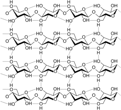 Polysaccharide Structure